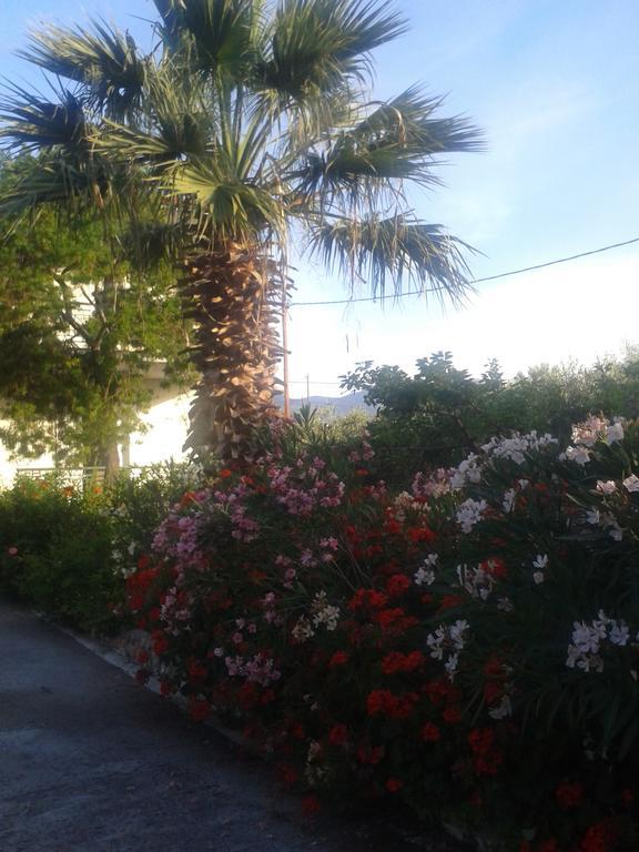 Elea Guesthouse Galaxidi Exterior foto