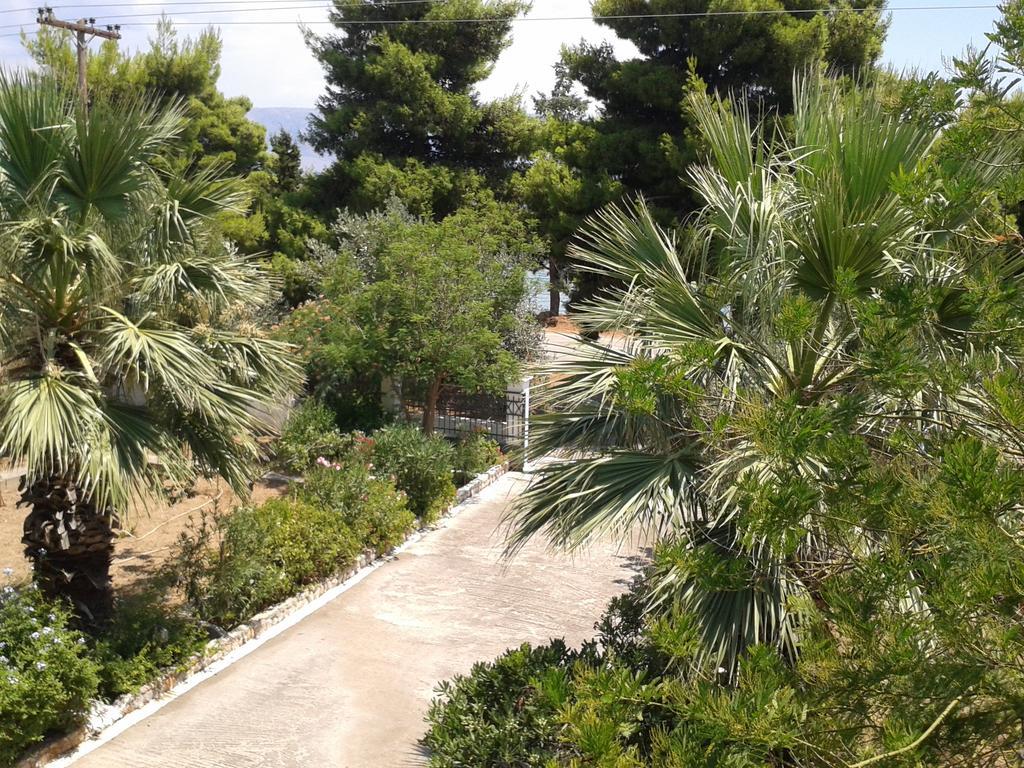 Elea Guesthouse Galaxidi Exterior foto