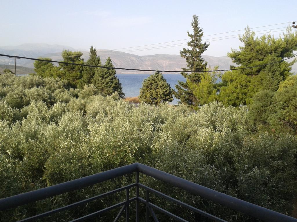 Elea Guesthouse Galaxidi Quarto foto