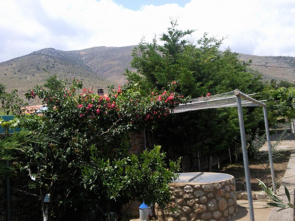 Elea Guesthouse Galaxidi Exterior foto